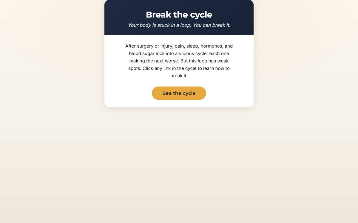 Break the Cycle interactive preview