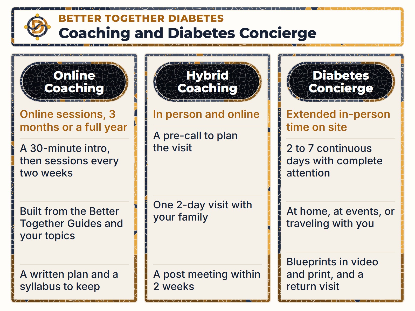 Coaching and Diabetes Concierge as three columns: Online Coaching, Hybrid Coaching, and Diabetes Concierge, each with what it includes.