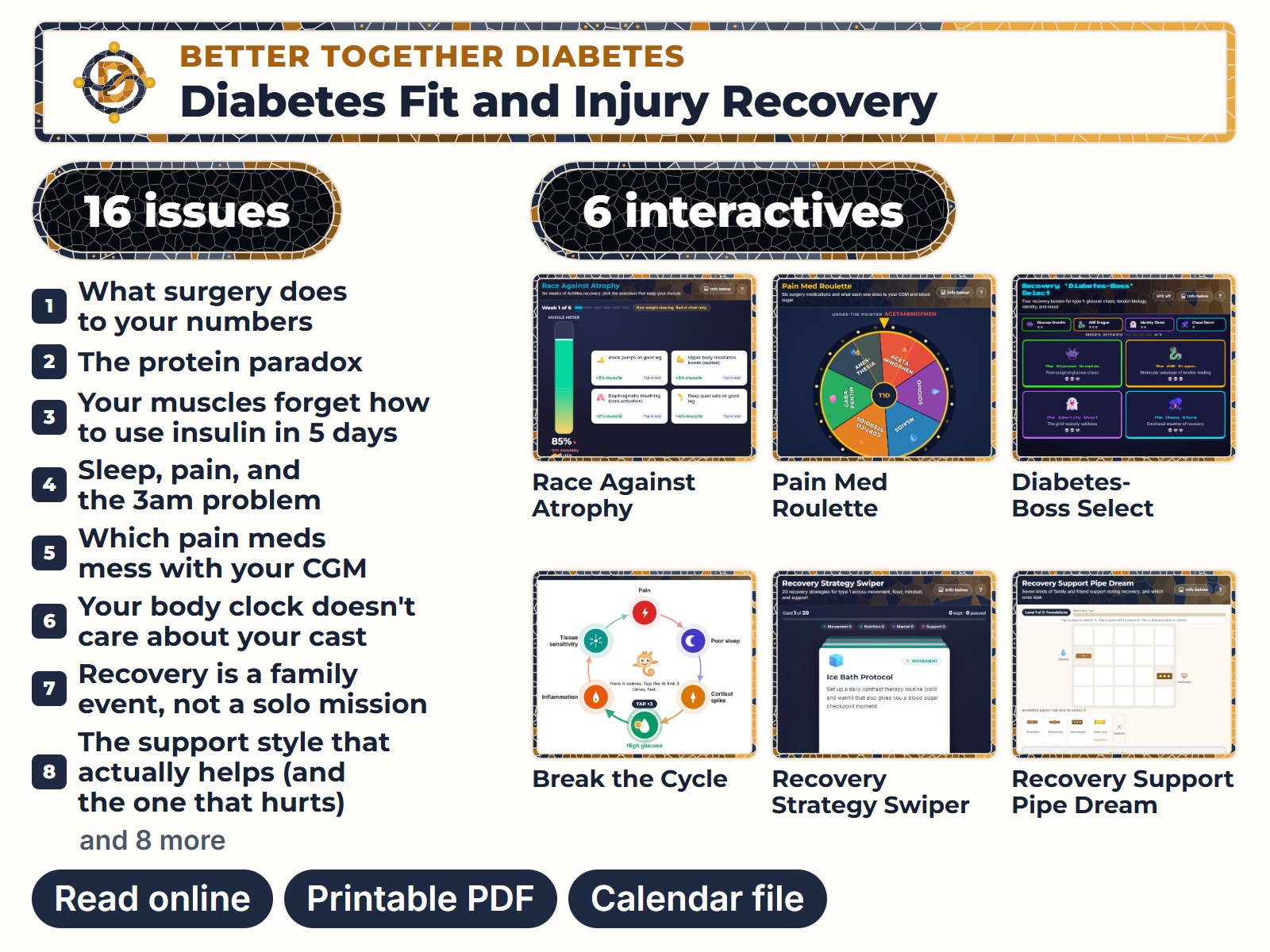 The complete Diabetes Fit and Injury Recovery guide: the cover, the first 8 of its 16 issue titles, four of its six interactives, and the formats included.